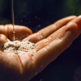 Powder-to-Foam Cleanser | Fragrance-free